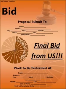 Bid Proposal Template