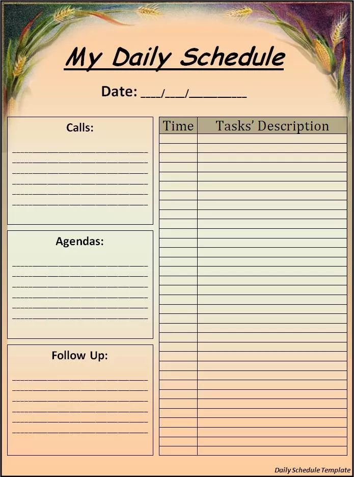 Daily Schedule Template