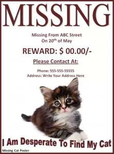 Missing Pet Poster Template