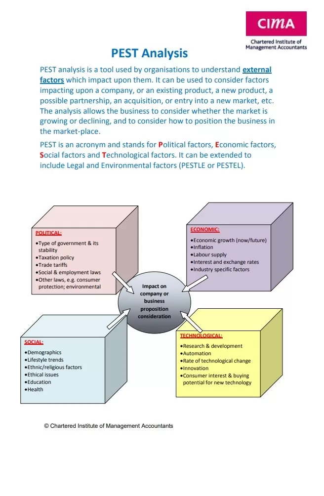 PEST Analysis Format